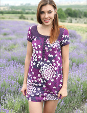 Through the lavender fields 00