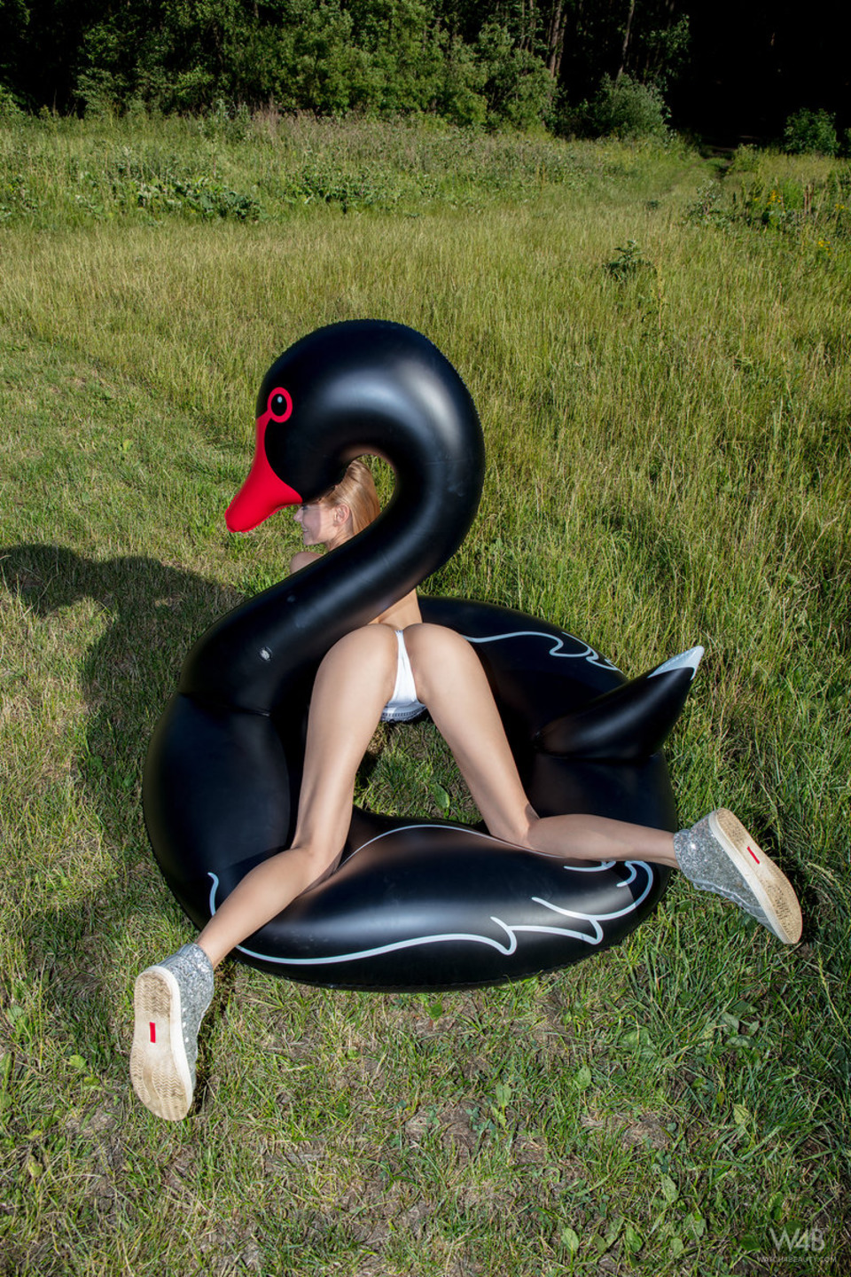 Fun With Black Swan