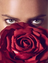 Red Rose of Irina 01