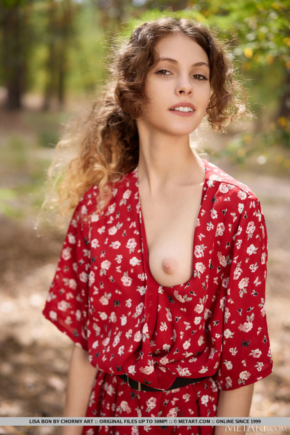 Lisa Bon - Woodland Walk