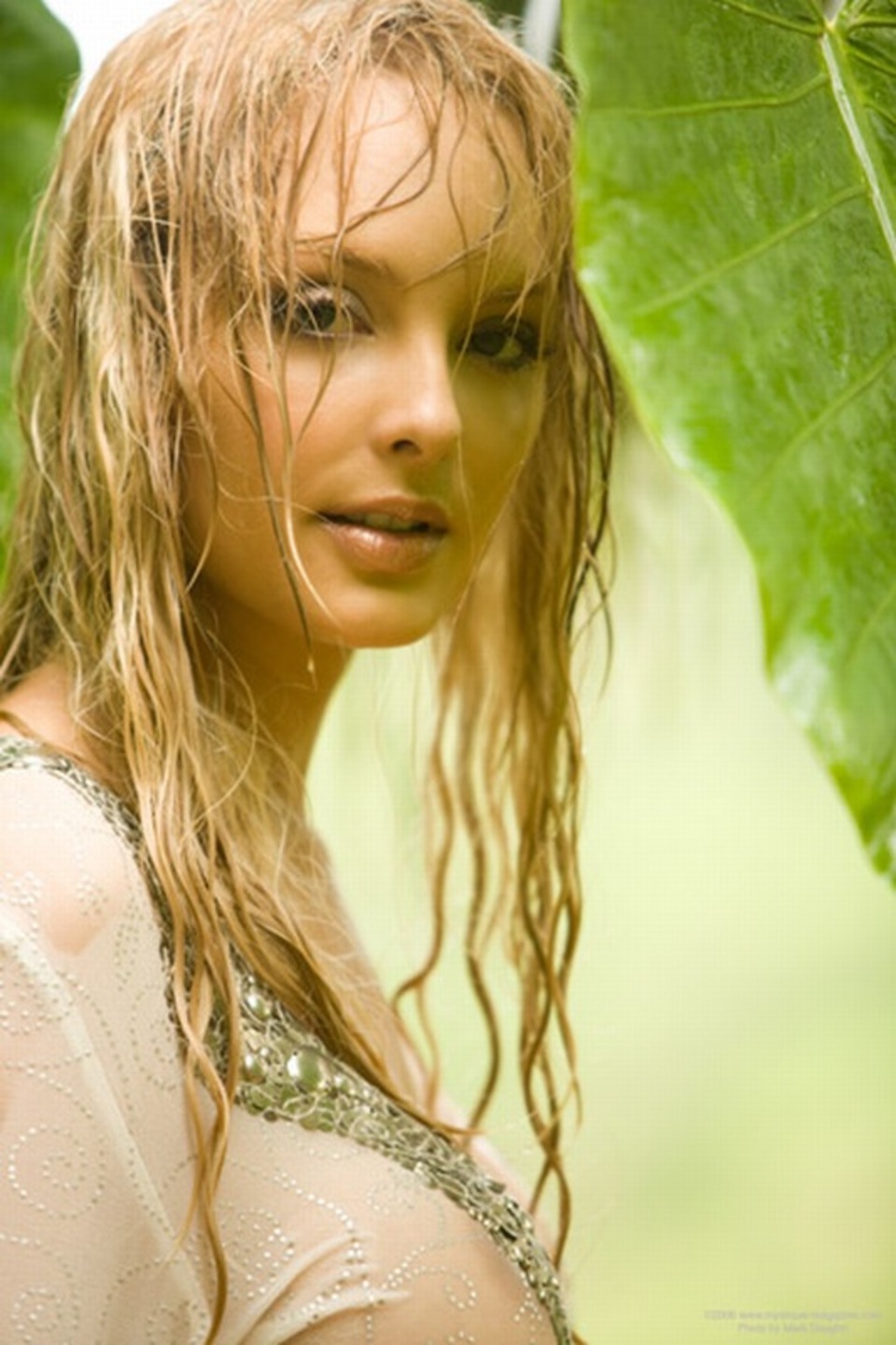 Shera Bechard